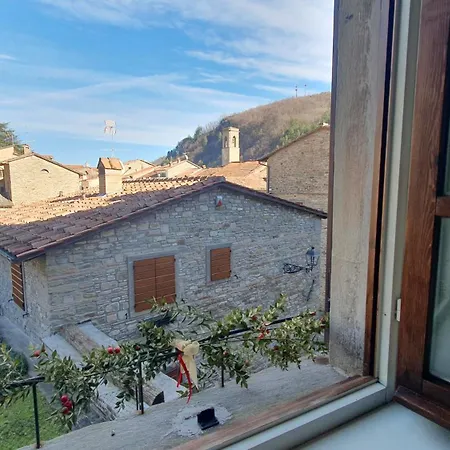 Lo Struzzo בניו די רומניה